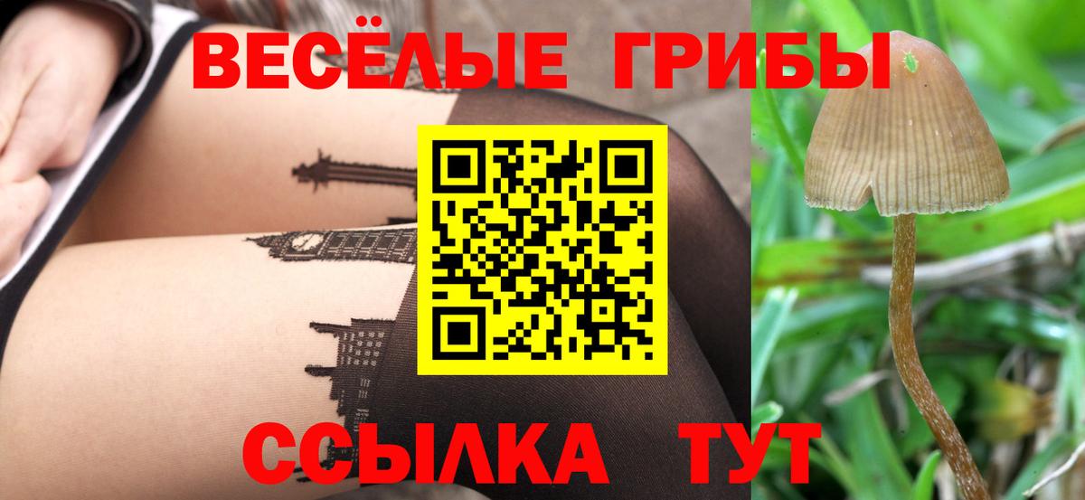 Галлюциногенные грибы GOLDEN TEACHER Рассказово