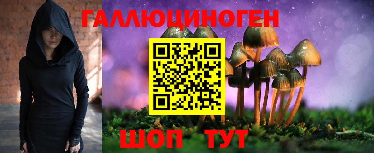 Рассказово  Галлюциногенные грибы мицелий  Вход с VPN  Галлюциногенные грибы Psilocybine cubensis 