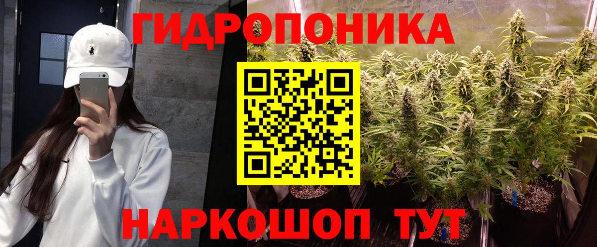Рассказово  Канабис VHQ  Вход с VPN  Канабис план 